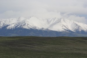 leslie gaines CrazyViewIMG_0542