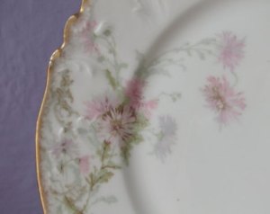 illustration martha's china