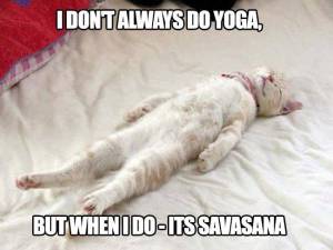 1455008_616450431738164_902164263_n