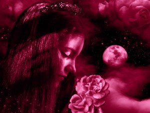 illustration rose honey strawberry moon