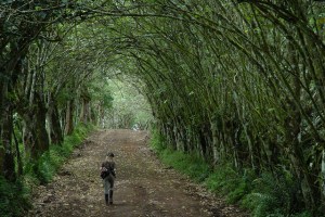 illustration this road i am traveling