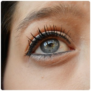 illustration love seventeen lines long